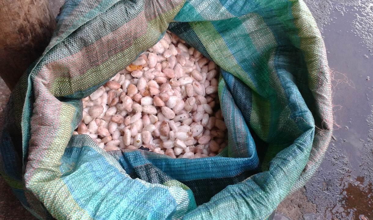 Fabrication du chocolat - Sac de transport des fèves de cacao