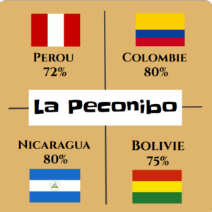 Boite dégustation "La Peconibo" BIO de 12 palets de 4 origines (bean to bar)