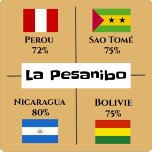 Boite dégustation "La Pesanibo" BIO de 12 palets de 4 origines (bean to bar)