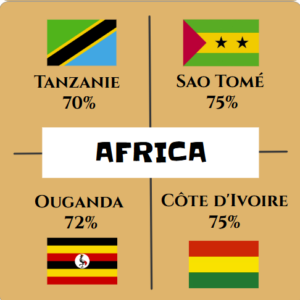 Boite dégustation "Africa" BIO de 12 palets de 4 origines (bean to bar)